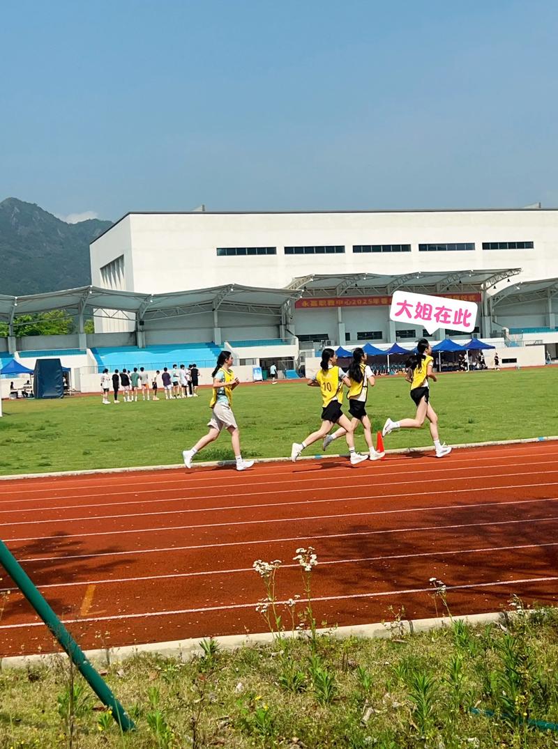 中考体育：从选材到备考的全面视角